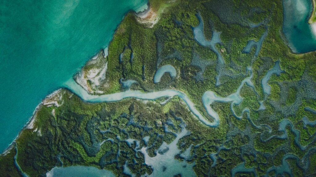 Aerial view of a shoreline. Credit Alex Diaz, Unsplash