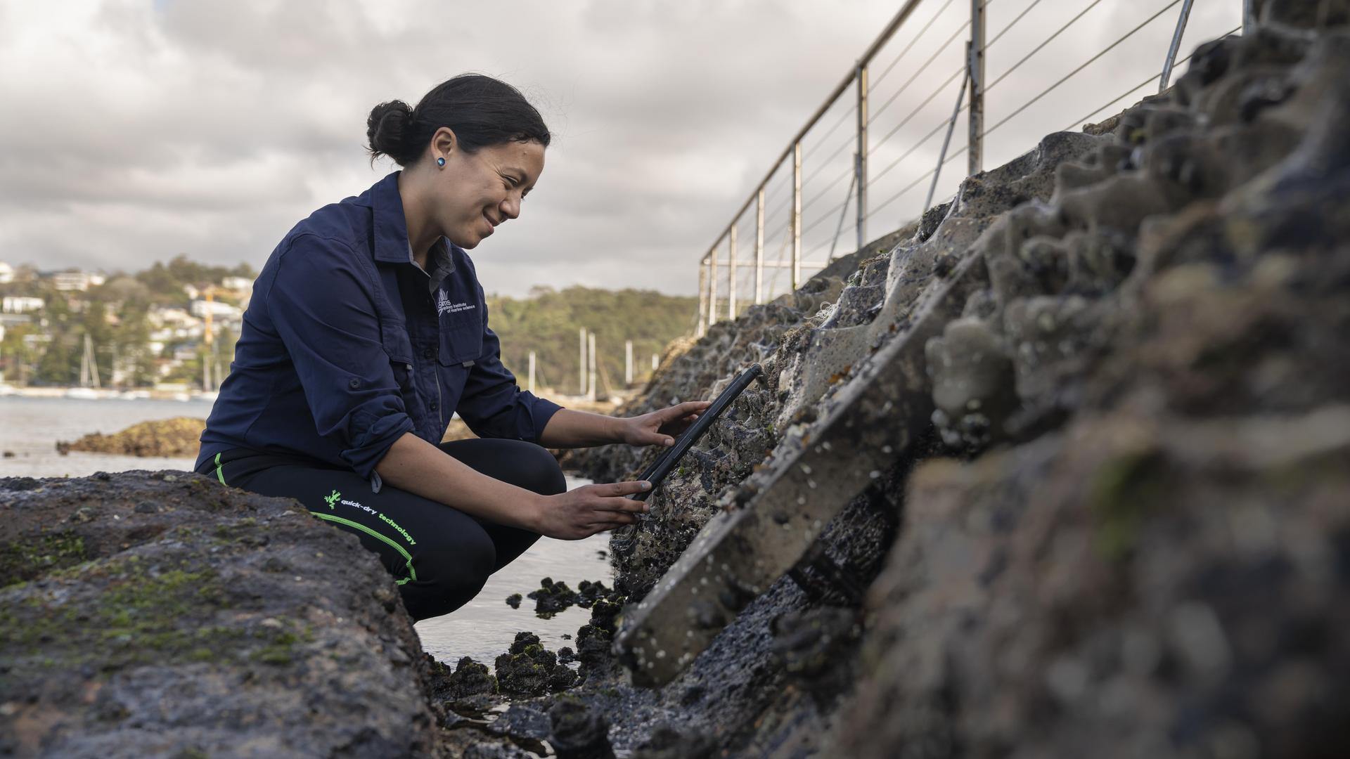 Dr Maria Vozzo from the Living Seawalls team conducts a biodiversity count on a series of the ‘habitat tiles