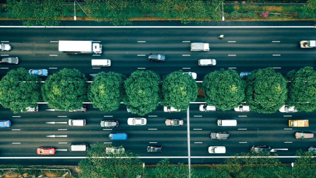 Trees lining the middle of a motorway