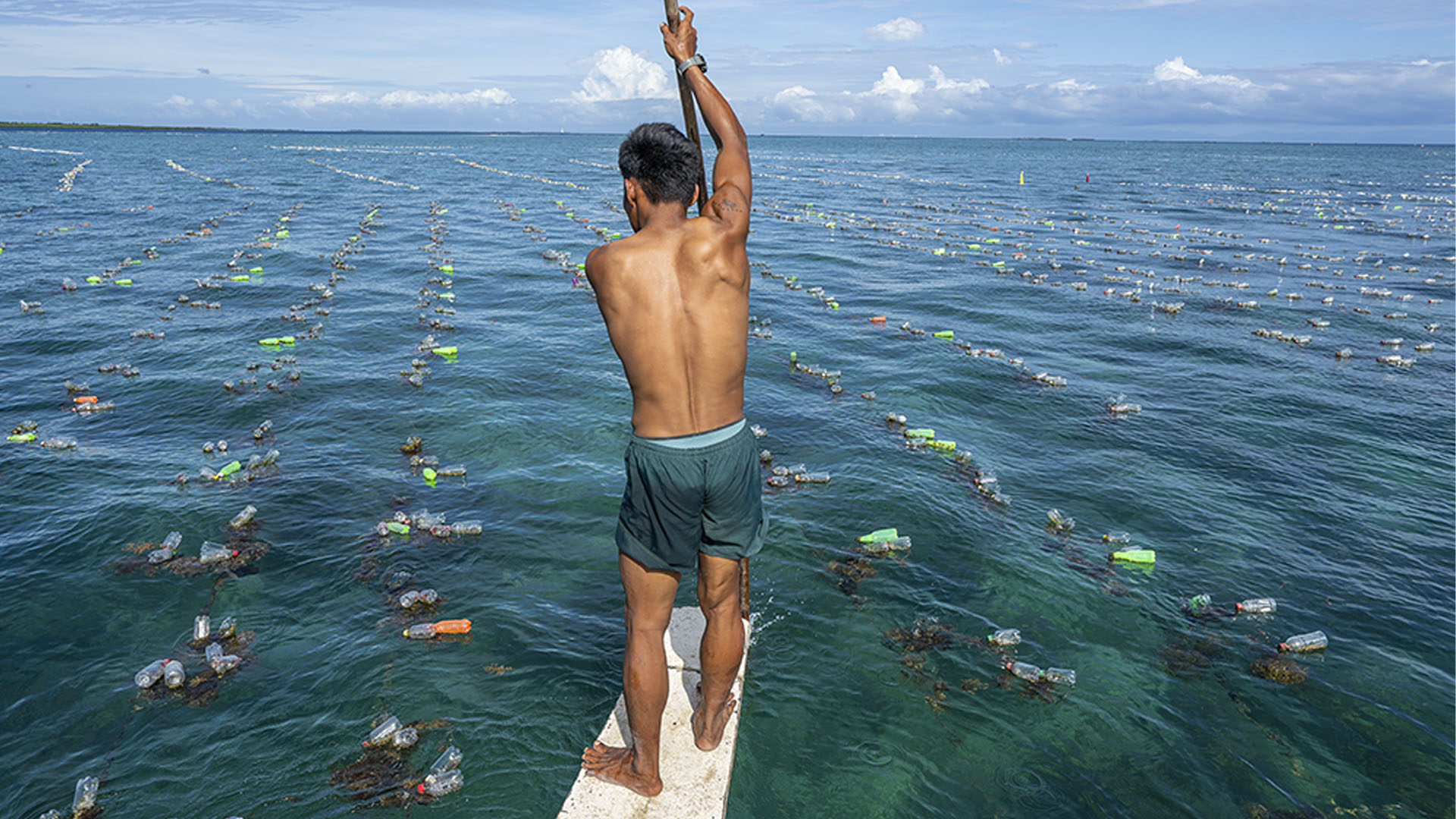 Coast 4C seaweed farmer