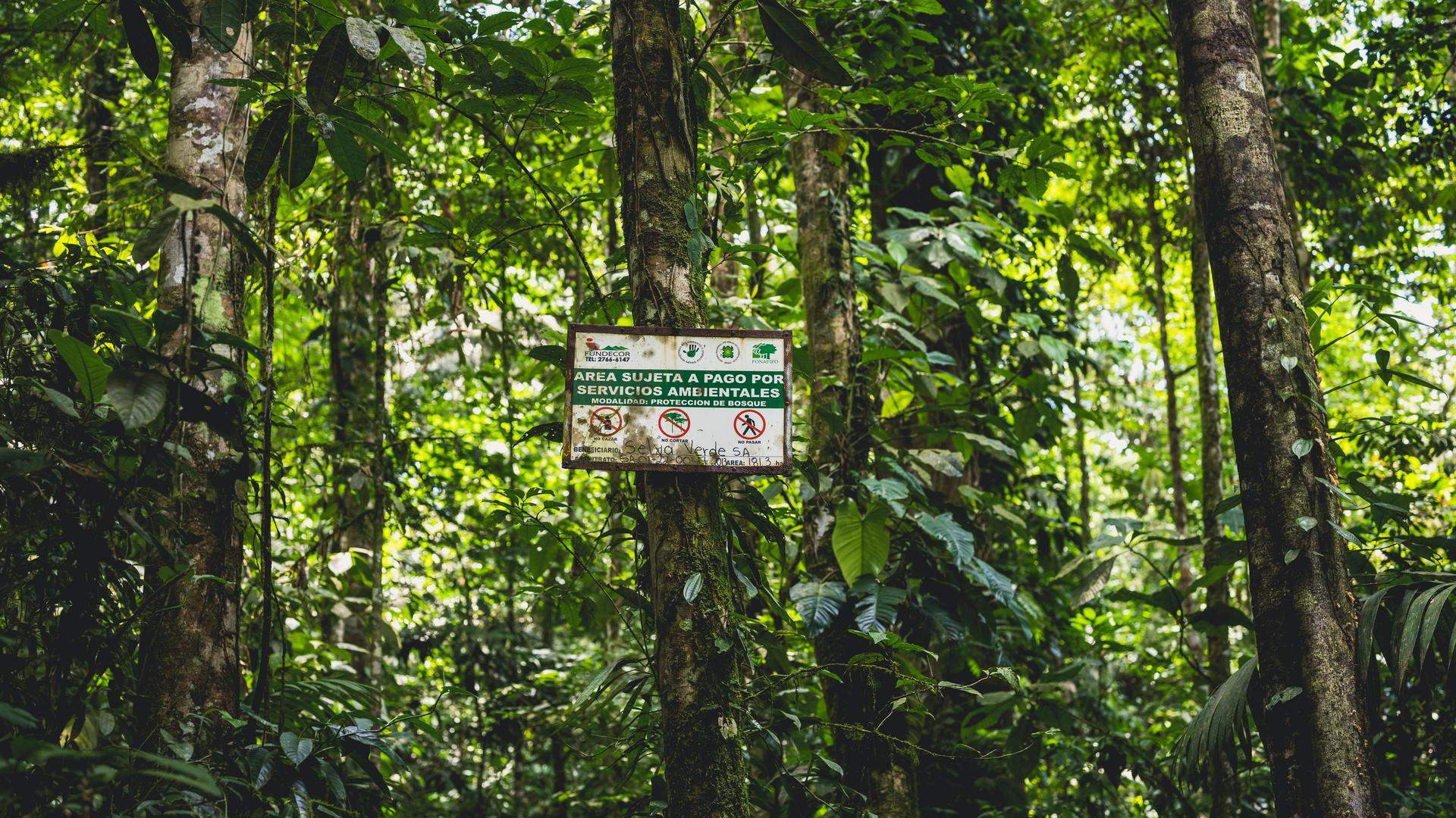 Protected area part of the Programme Enviromental Services Payment.