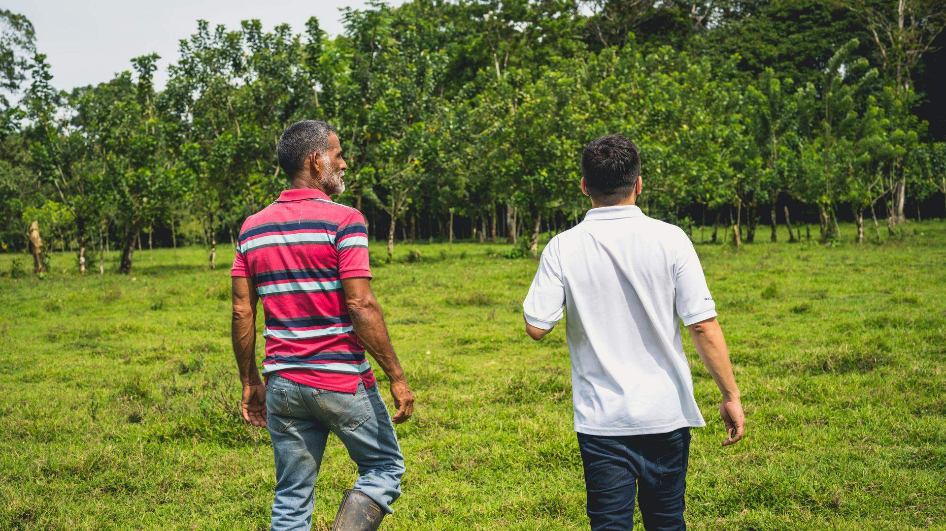 Costa Rica staff inspect field and forest