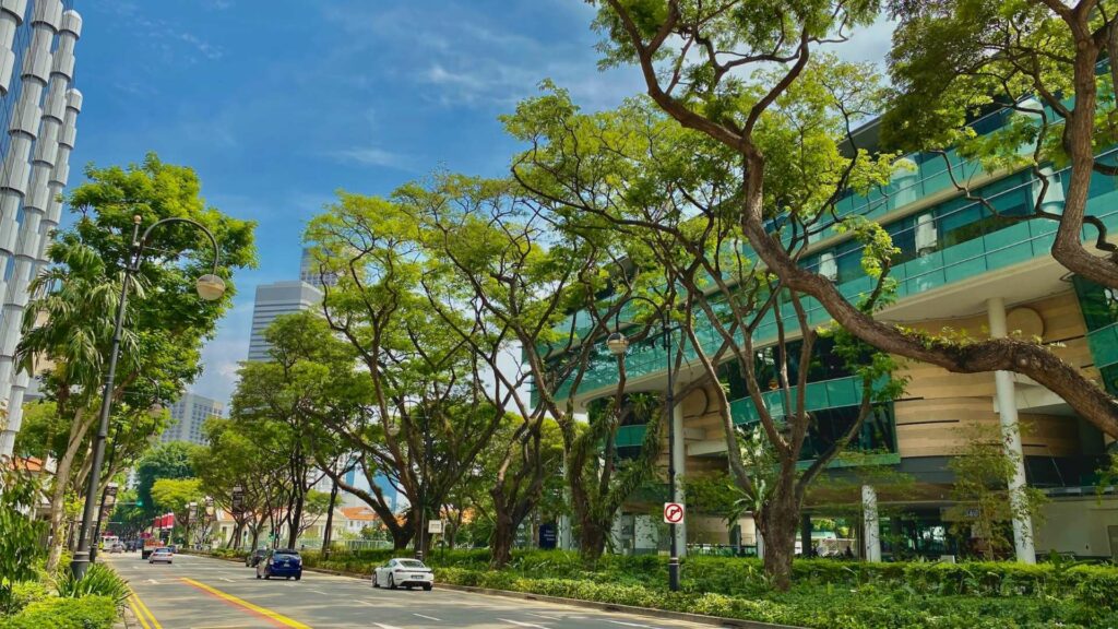Green trees near white building during daytime on a road in Singapore