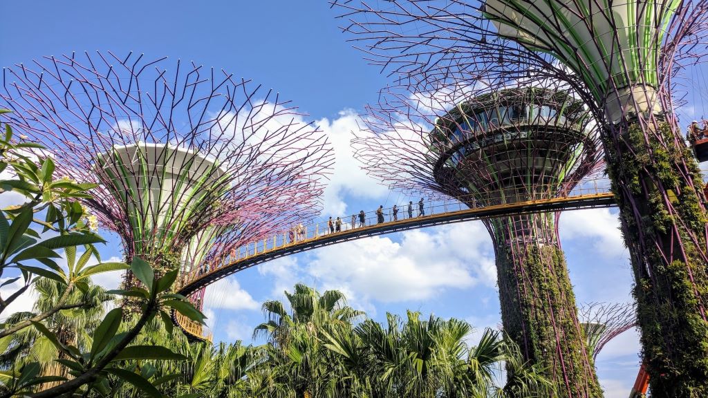 Garden by the Bay supertrees