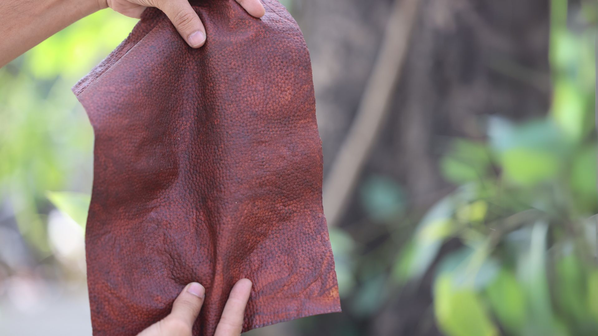 Fleather from Phool
