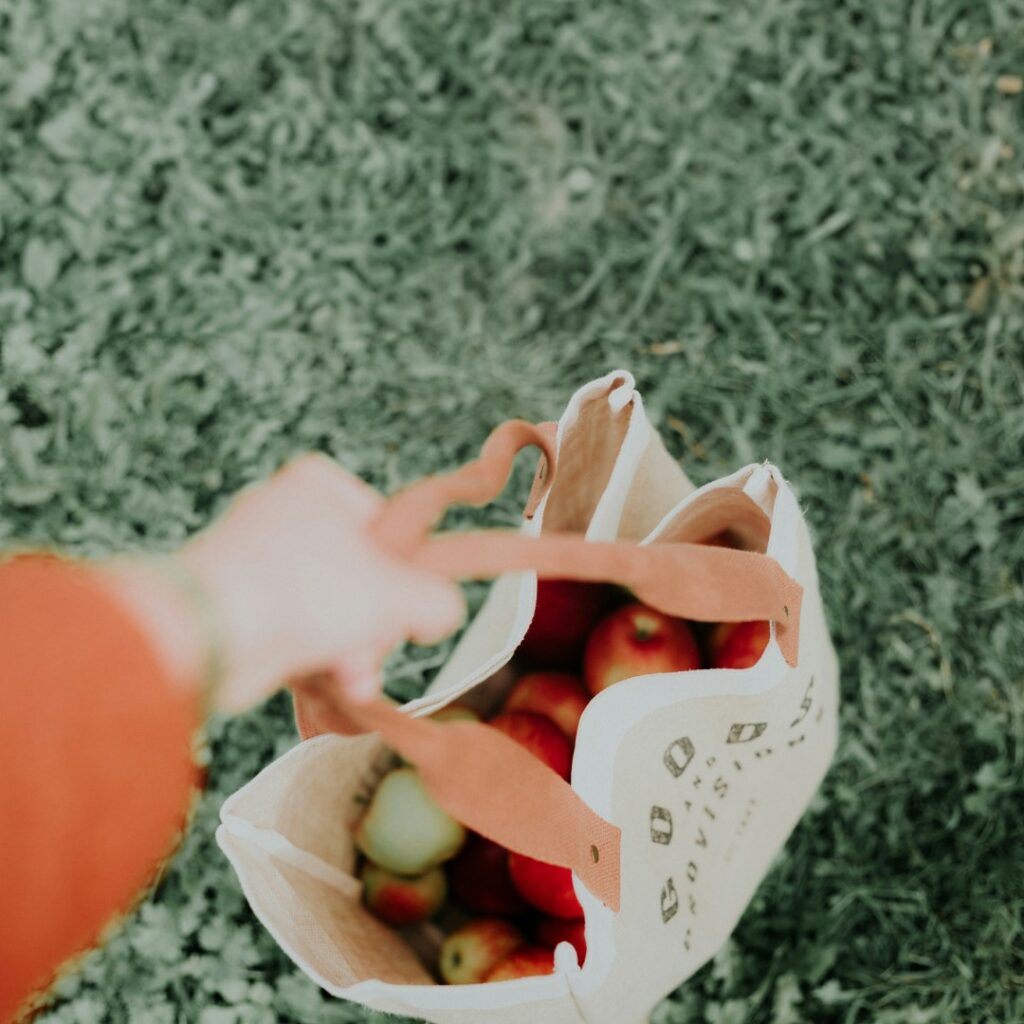 Fresh food in reusable shopping bag