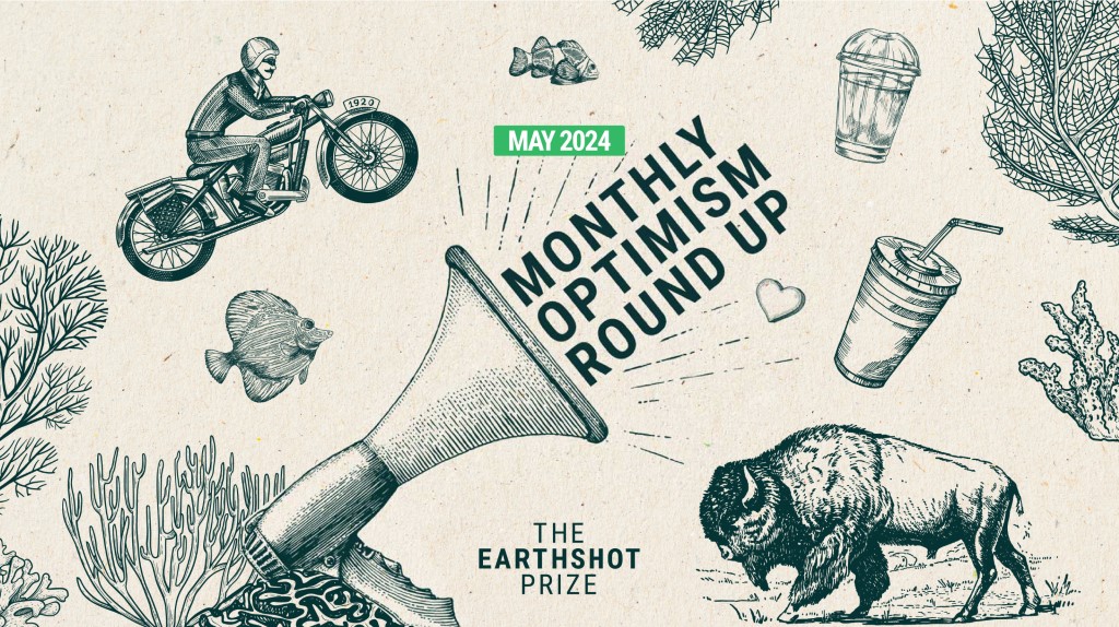 Optimism Roundup May 2024