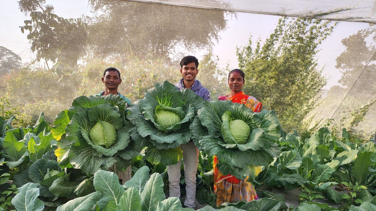 Pangela Sakukar Purty and her husband James Tuti's farm is achieving extraordinary results with their two Kheyti nethouses.