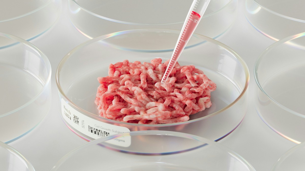 Lab-grown cultivated meat