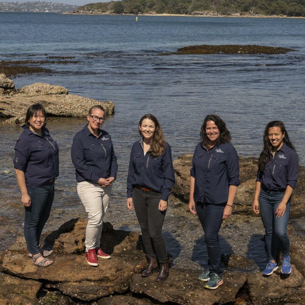 Living Seawalls Team