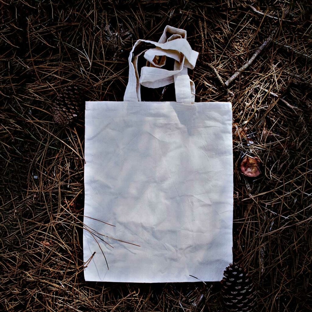 Reusable bag initiative