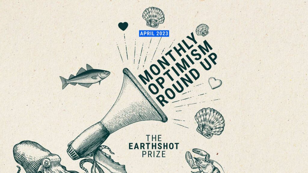 Monthly Optimism Roundup April 2023