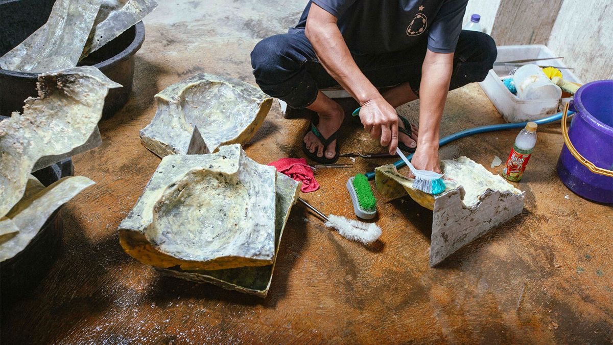 MYCL treating leather alternative