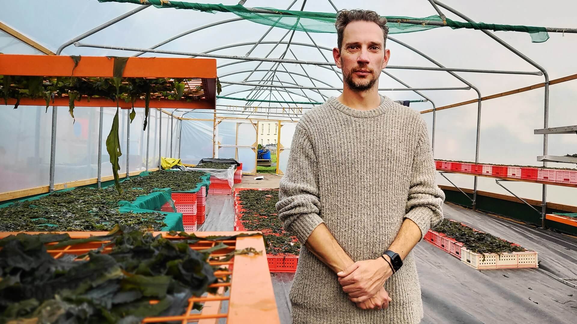Notpla - greenhouse with employee