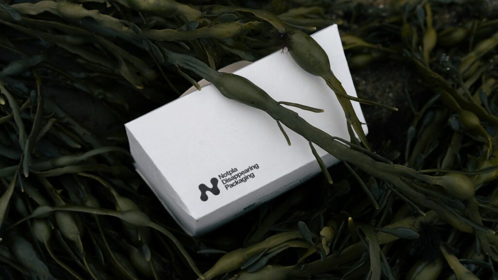 2022 Earthshot Prize Winner Notpla's plastic-alternative food container made with a natural seaweed coating