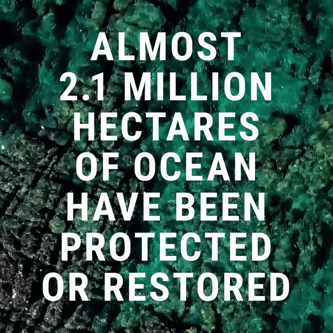 Almost 2.1 million hectares of ocean have been protected or restored