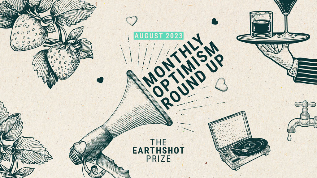 Optimism Roundup August 2023