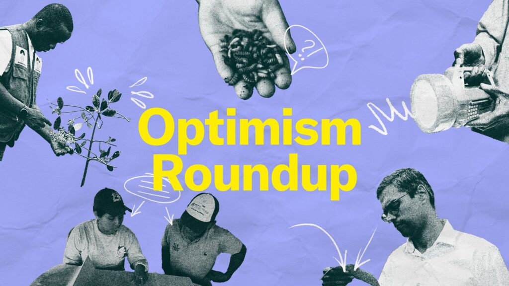 Optimism Roundup: January 2025