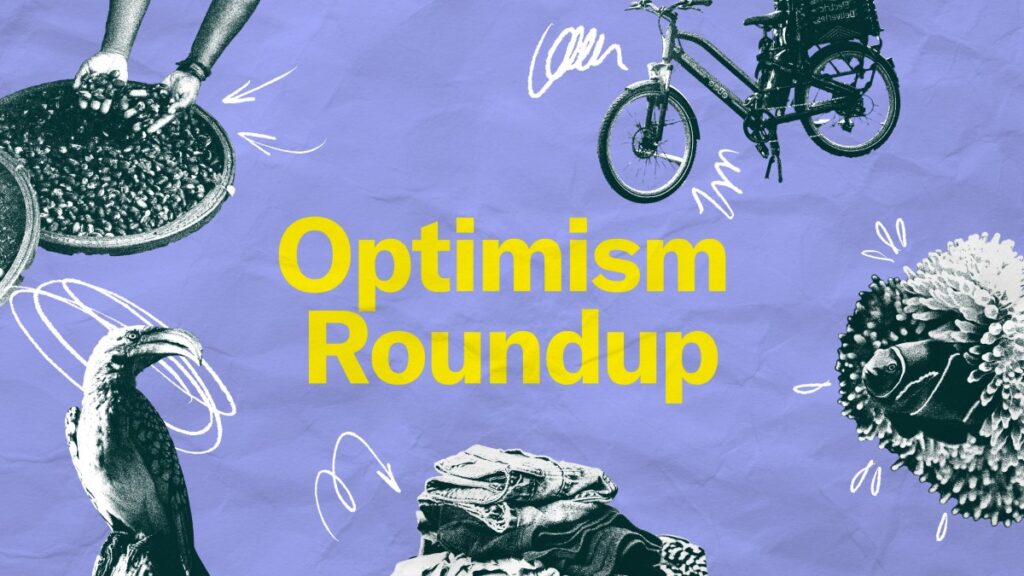 Optimism Roundup February 2025
