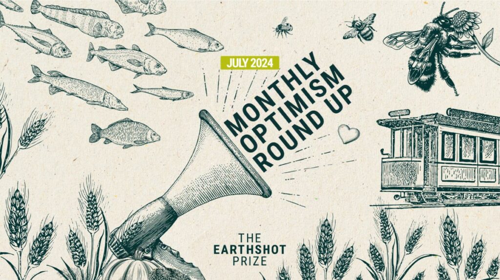 Monthly Optimism July 2024