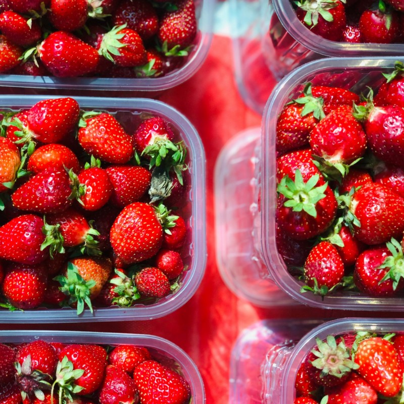 Optimism May 24 - Strawberries