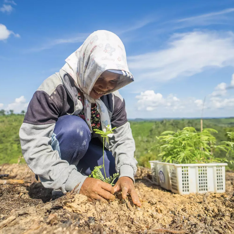 Planting crops in field