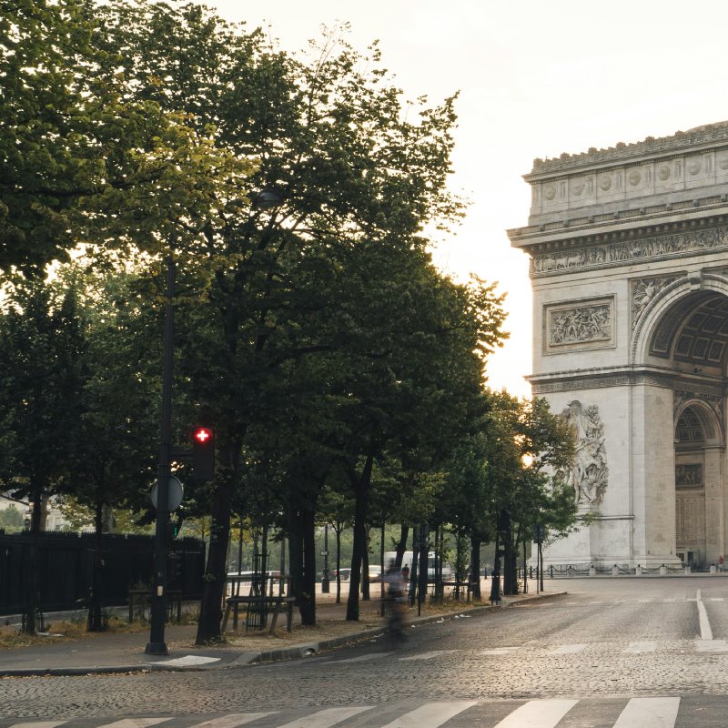 500 trees are being planted on the busy Place de Catalogne roundabout to tackle air pollution in Paris