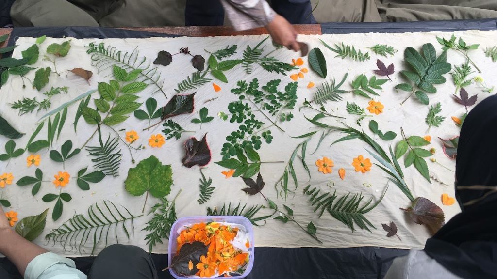 Nature restoration project. Credit: Restor