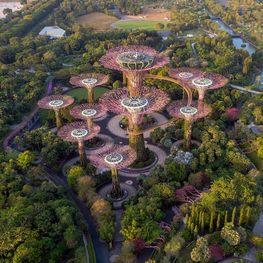 Singapore Super Tree Grove