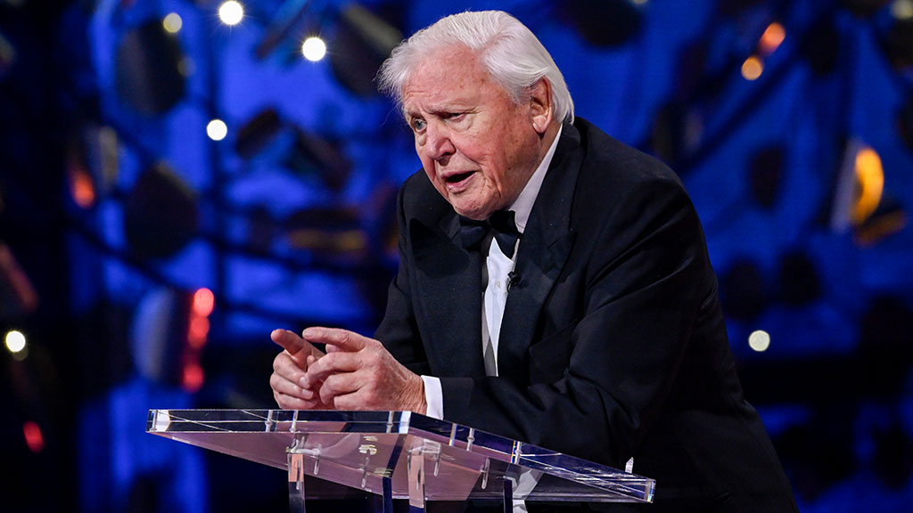 Sir David Attenborough, Earthshot Prize Council Member