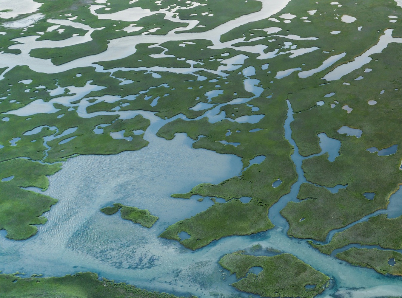 Image of a wasteland