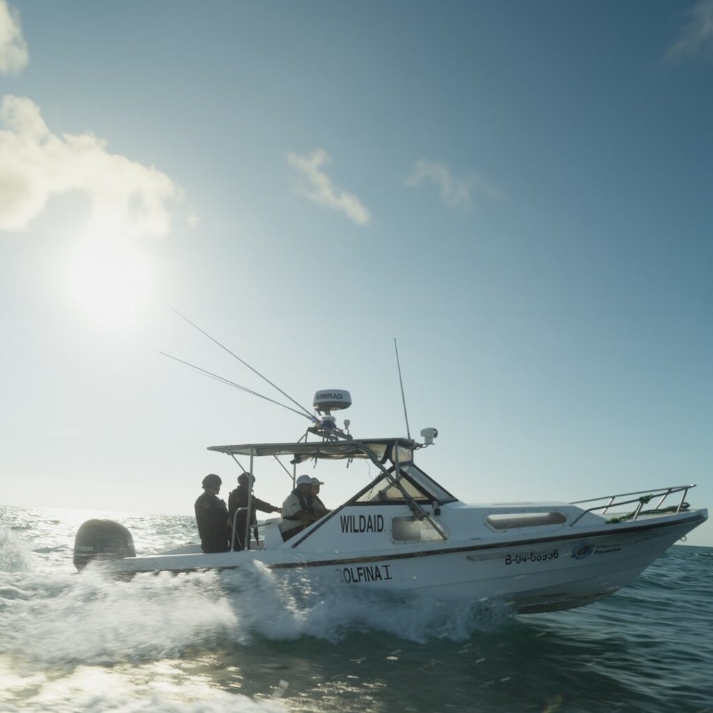 WildAid Marine Program enforcement boat